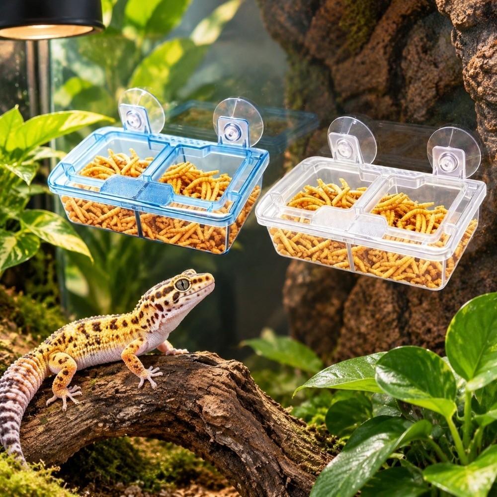 Transparent Suction Cup Reptiles Feeders Plastic Anti-Escape Food Bowl Reptile Drinker Bowl Snakes