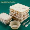 WS Biodegradable Corn Starch Takeaway Food Containers