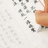 IXUECAT Chinese Calligraphy Paper Book Handwriting Practice Tracing Copy Writing Practice Notebook for Chinese Hard Pen Handwriting Exercise - Style
