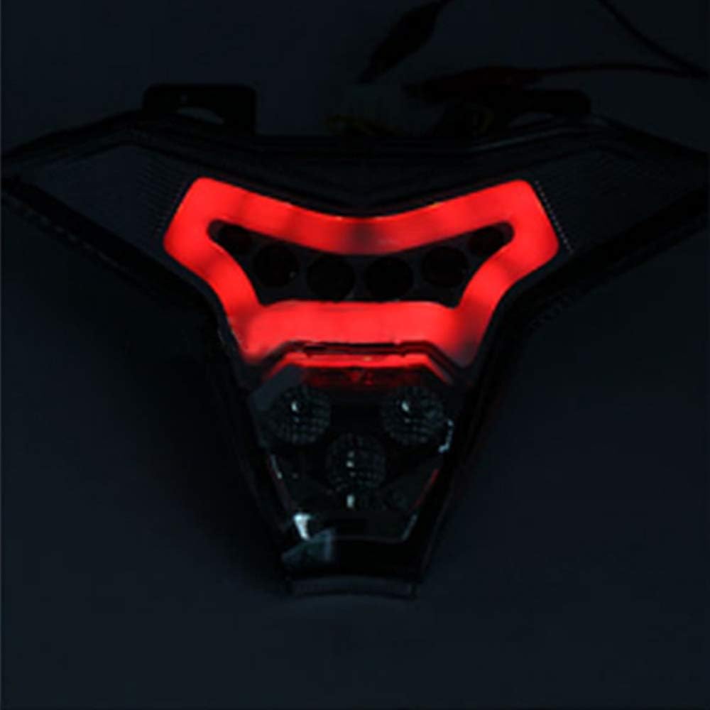 GUAIMI Integrated LED Tail Light Turn Signals Blinker for Z1000 2014-2019 Z400 2019-2020 Ninja ZX-10R 2016-2020 Ninja ZX-10RR 2017-2020 Ninja ZX-6R
