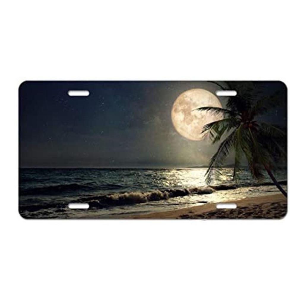 Sublimation Printed US Standard License Plate Metal Sign, 12x6 Inches, Hot-Selling Design