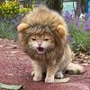 1PC Decorative Pet Hat Soft Lightweight Lion-style Hats Breathable Pet Hood  Adorable Pet Photography Props  Cat Costume Cosplay