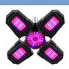 Led Grow Light Plant Seed E27 Full Spectrum Hydroponic Lampara Panel Bombilla Grow Tent Bulb AC85-265V 200W 300W 400W