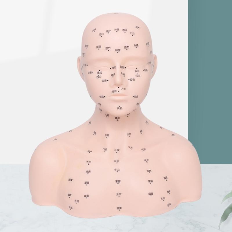 Realistic Massage Therapy Head Model Featuring Stable Filling Structure And Ergonomic Design For Beauty Academies