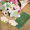 100Pcs Green Flower Stem Iron Wire Crafts DIY Handmade Simulation Plant Stem Manual Accessory Material Artificial Flower Stem
