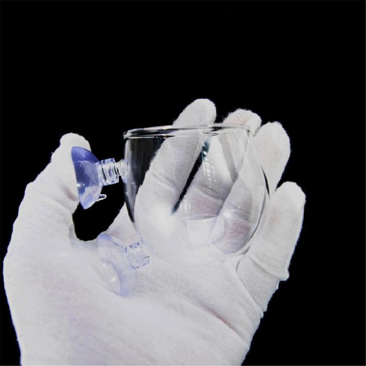 Glass Plant Cup for Aquariums for Enhancing Fishtanks Aesthetic Hydroponic Plant Holder for Fishtanks Underwater Decors