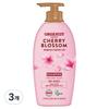Organist Elastine Feuchtigkeit Nährendes Shampoo Kirschblüte 750ml 3 Stück