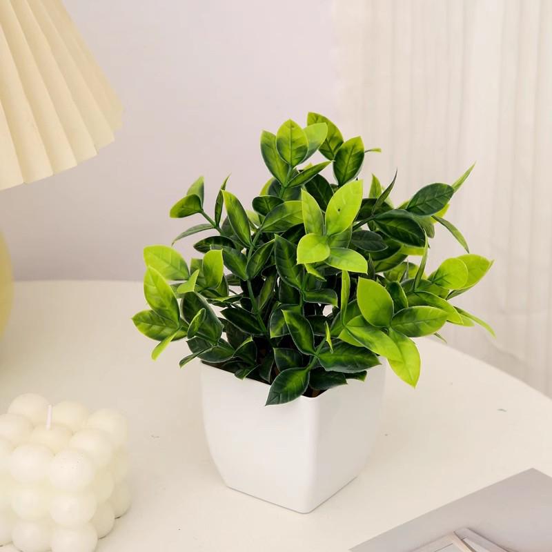 Decorative Artificial Plants Fake Plants Desk Accessorie Office Accessorie Wedding Decoration Home Decor Room Desktop Ornament