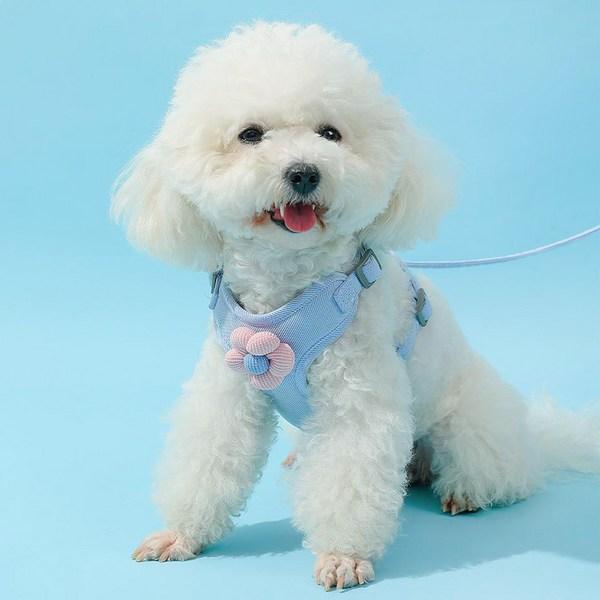 Pastel Pet Geschirr-Set mit großem Blumen-Punktmuster, Blau