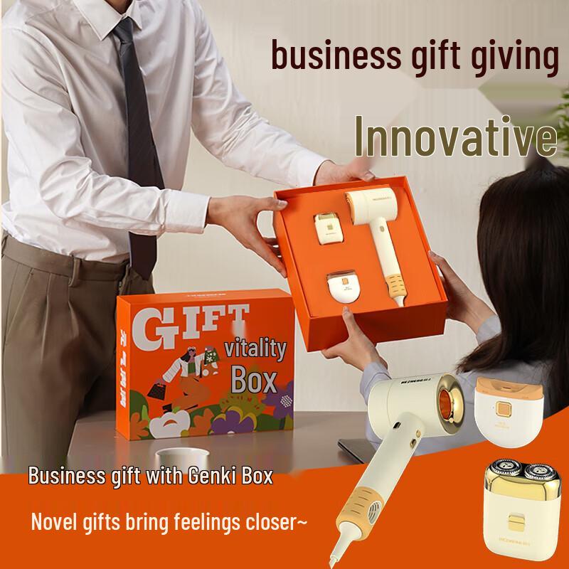 Hezheng Vitality Head Massager Gift Box