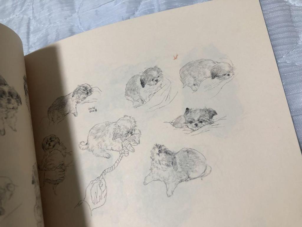 [USED] OINU DAYS Ikegami Yoriyuki