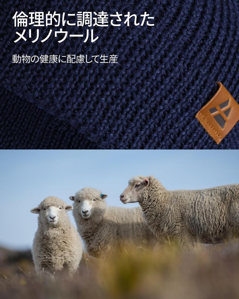 DANISH ENDURANCE Merino Wool Knit Hat with Fleece One Size Fits and Lining, Gray, All, Men's Women's