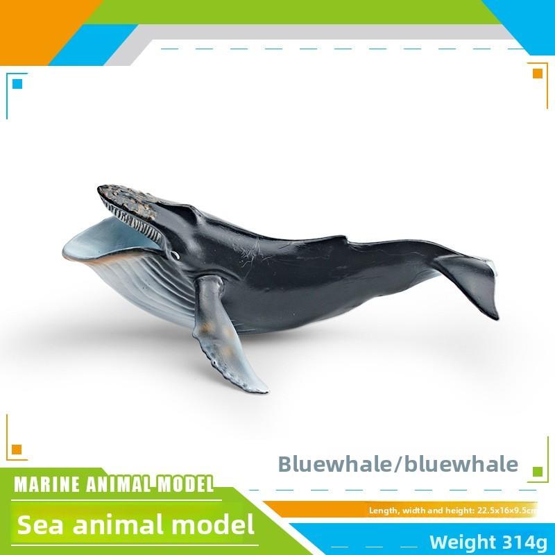 Ensemble de modèles en PVC d'animaux marins pour enfants avec des figures de cétacés réalistes pour le jeu éducatif
