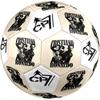 Ronaldo's Evolution Sports Size 5 Soccer Football Machine Sewn Indoor/Outdoor Universal Football Unique Gift for Soccer Lovers