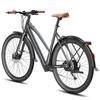 Electric Bicycle FAFREES 250W Motor City Ebike Top Speed 25Km/h 36V 10AH Max Range 100Km 9 Speed F700W