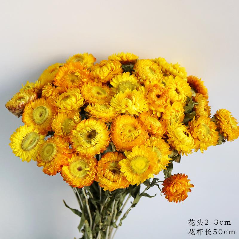 Daisies dried flower bouquet decorative ornament shooting props natural real flower arrangement bedroom dried bouquet