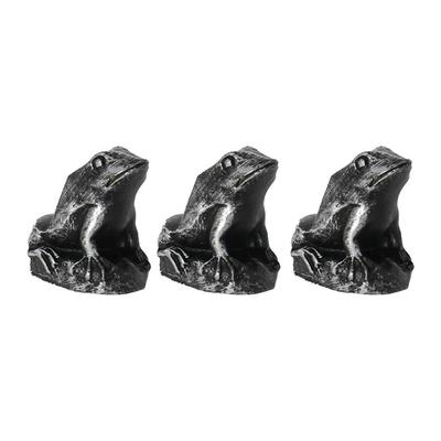 Ev Dekoru – Dekoratif Terraryumlar