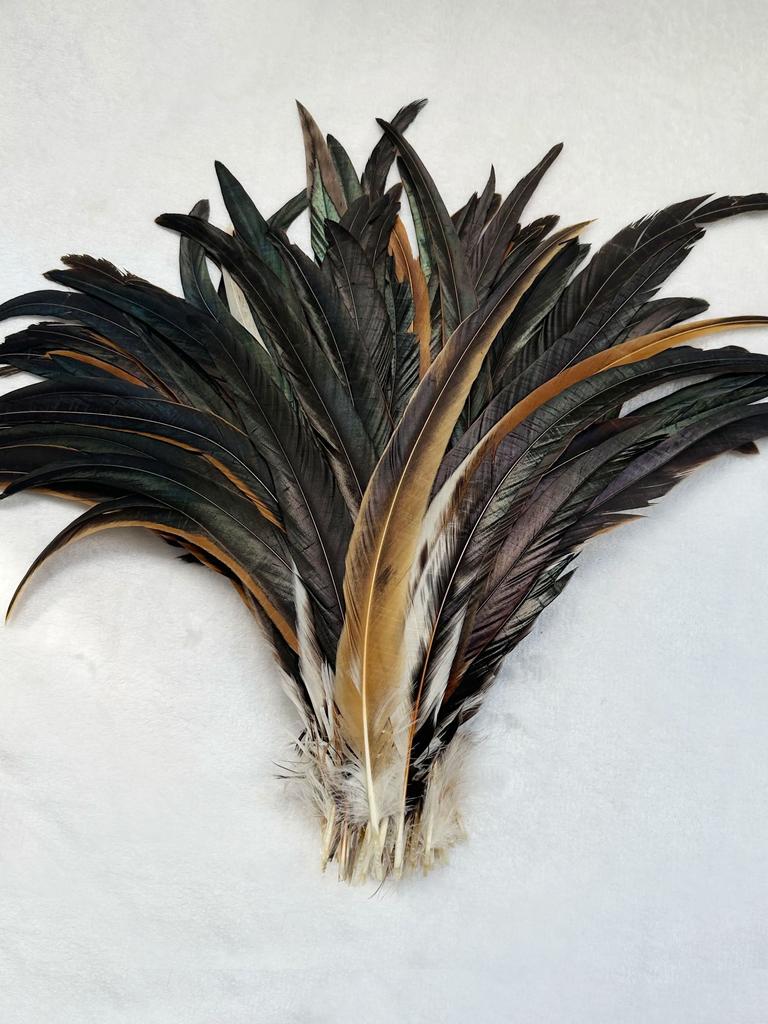 Wholes 500pcs Rooster Tail Feathers 25-30cm 30-35cm 35-40cm 40-45cm For Colored Carnival Costume&mask Party