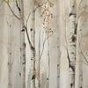 1 White Aspen Forest Shower Curtain - Luxury bathroom decor with a rustic birch tree design, polyester fabric, easy to clean