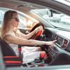 30pc Car Steering Wheel Cover Gear Cover Handbrake Shoulder Guard Armrest Box Mat Line