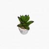 12-Piece Mini Cactus Assortment Set, Faux Greenery, Perfect for Home Decor, Desks, Kitchen Counters, and Store Decor. Perfect for Everlasting Plants.