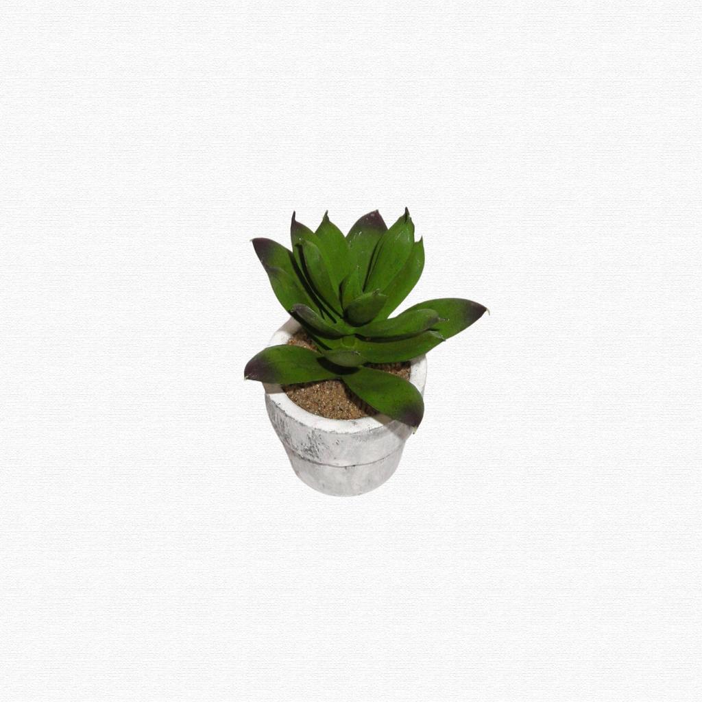 12-Piece Mini Cactus Assortment Set, Faux Greenery, Perfect for Home Decor, Desks, Kitchen Counters, and Store Decor. Perfect for Everlasting Plants.