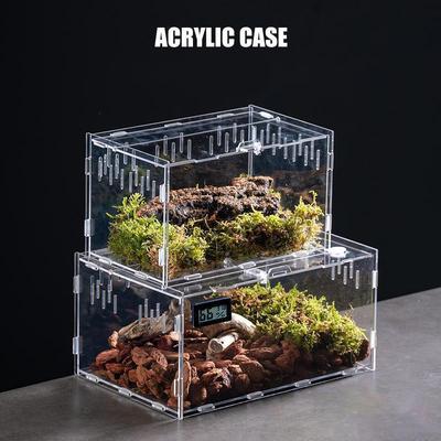 Acrylic Transparent Reptile Breeding Box Terrarium Habitat Insect Spider Lizard Scorpion Feeding Cage Arboreal Enclosure Case