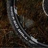 SCHWALBE (SCHWALBE) [Authentique] Pneu VTT Wicked Will 27.5x2.40
