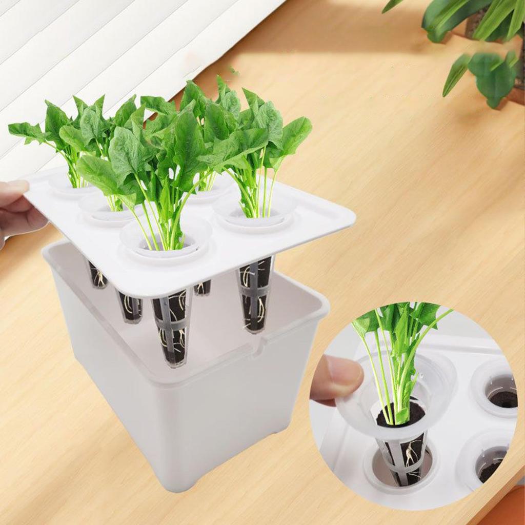 Hydroponic Planting System All-Season Cultivation Complete Set Indoor Garden Hydroponics Planting Box For Balcony Parterre