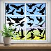 Schwarzer Kolibri Anti-Kollisions-Fensteraufkleber für Türen und Glas