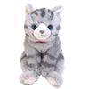 Sun Lemon Lap Cat Plush Toy Medium Gray