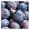 Canvas Print Plum Macro