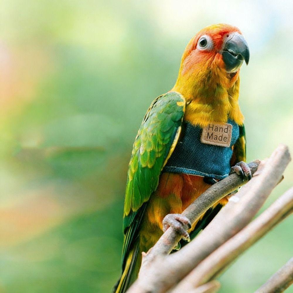 With Leash Parrot Flying Harness Cowboy Bird Walking Suit  for Parakeet Outdoor Flying Training