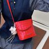 A Stylish and High-end Hand-held Small Bag, A Versatile Bucket Bag, and A Single-shoulder Crossbody Bag