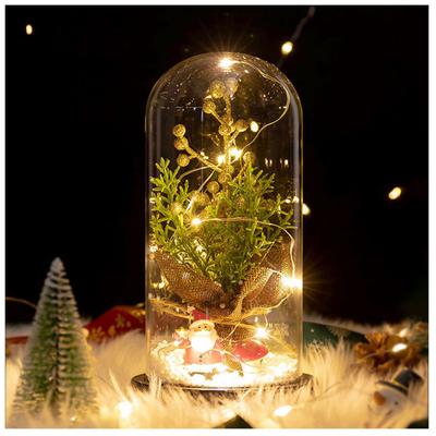 Simulation Weihnachtsbaum Dekoration LED Licht Ewige Blume Glasabdeckung Geschenkbox Weihnachten Valentinstag Geschenk Dekoration