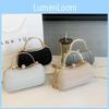 2024 New Trendy Women's Bag Exquisite Texture Simple Versatile Small Bag