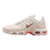 Air Max Plus