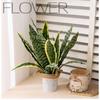 Faux Snake Plant with Lifelike Leaf Design for Home and For Wedding Decor Made of PVC for Long Term Use and Easy Setup