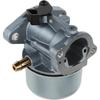 799868 Carburetor For 694202 693909 692648 499617 498170 497586 498254 497314 497347 497410 799872 790821 498255 498966 698444 Model 14111 Carb