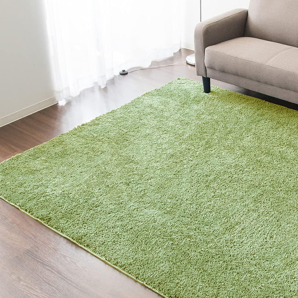 

Iris Plaza Rug Carpet All Seasons Compatible with Floor Heating Green 200 x 250 Non-slip SYGR-S-2025