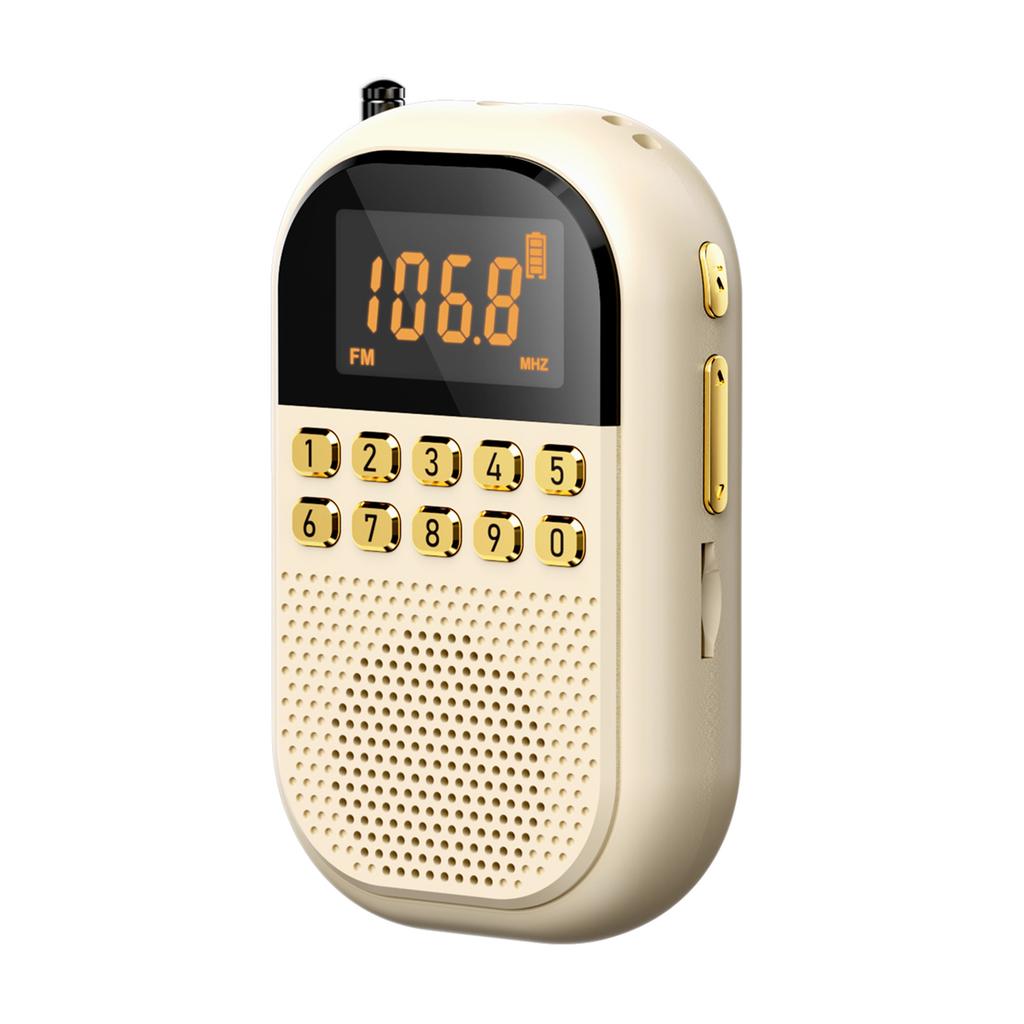 2025 New Mini Portable Radio FM/AM 1100mAh Card-rechargeable Bluetooth Radio