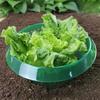 5PCS Plastic Plant Protection Collars Lightweight Vegetable Protection Cover  Farm