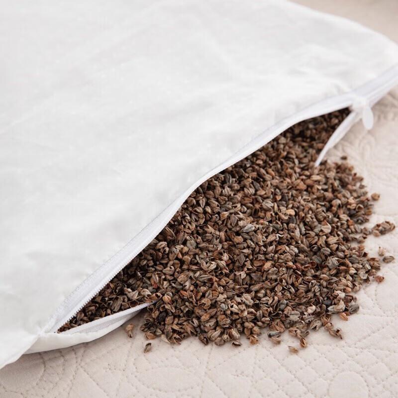 Aivi Buckwheat Neck Support Pillow