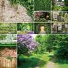 Pentru studiouri foto – Fundaluri pentru studiouri fotografice