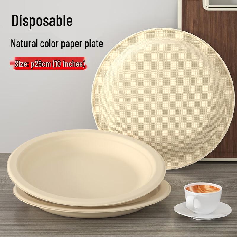 Disposable Sugarcane Pulp Paper Plates