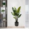Adesivi Murali Piante Verdi Tropicali Foglie di Palma PVC Soggiorno Arte Poster in Vinile Carta da Parati Decorazione Casa Murale