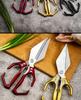 New Hot-Selling Multi-Functional Chicken Bone Scissors with German Diamond Cutter Head for Enhanced Kitchen Use