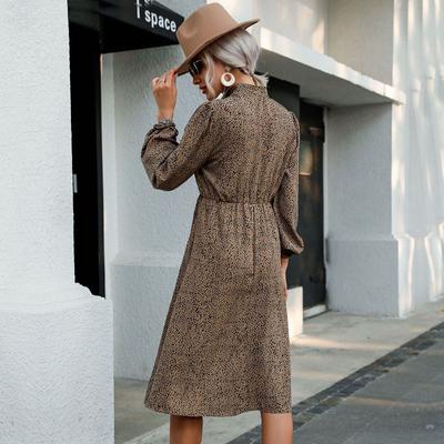 Early Autumn Fashion Women's Lapel Long Sleeve Leopard Print Dress Women's Inner