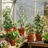 Plant Trellis for Climbing Plants Rustproof Garden Planter Trellis Decorative Plant Support Trellis for Potted Plants Monstera Ivy Pothos Flower Vine