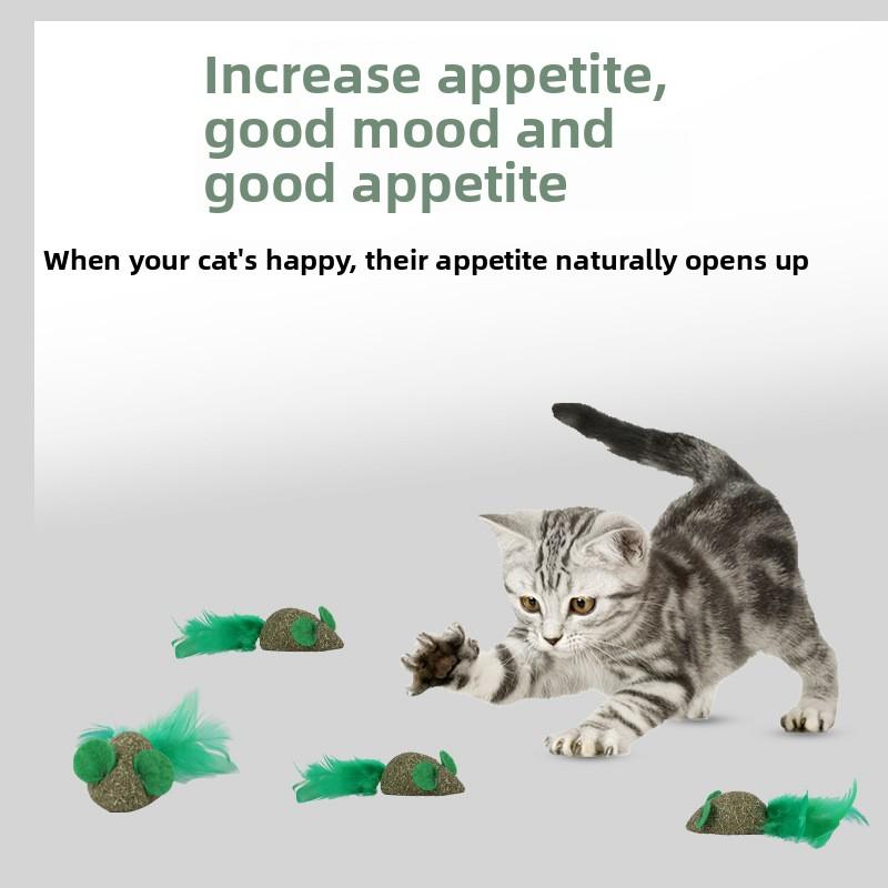 Cat Mint Lollipop, Teeth Cleaning and Grinding Wood Aster Stick, Cat Mint Feather Self-amusement